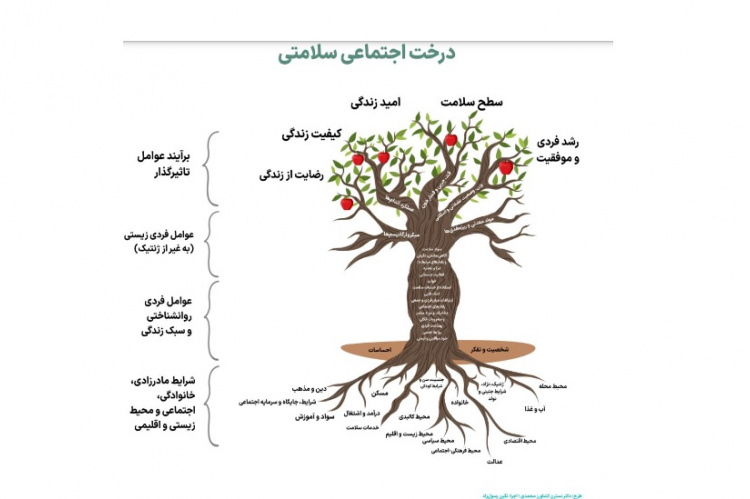 ” درخت اجتماعی سلامت”، مدلی مفهومی برای ترسیم ابعاد چندگانه سلامت